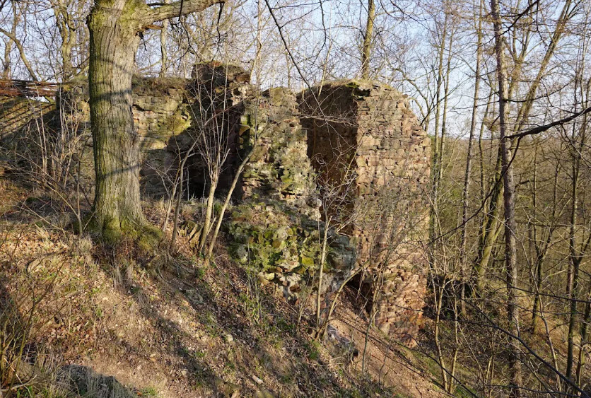 Castle Ruins Fulštejn, Czech Republic (Czechia)